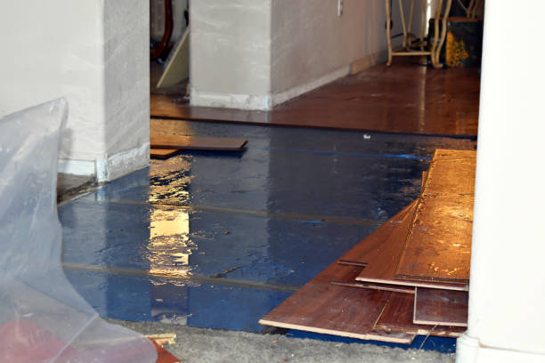 Professional Burst Pipe Cleanup technician working in Dansville, MI