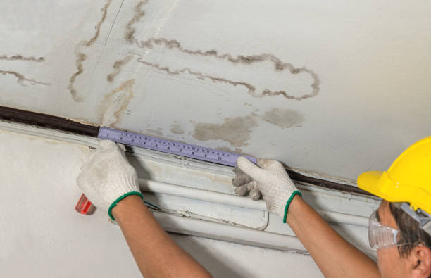 Reliable Burst Pipe Cleanup contractor in Dansville, MI by Local Water Damage Repair